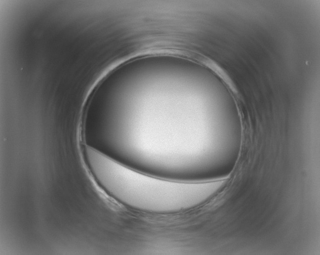 X0000070251101200606020952