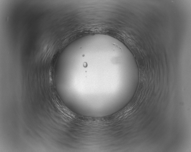 X0000070251106200606020951