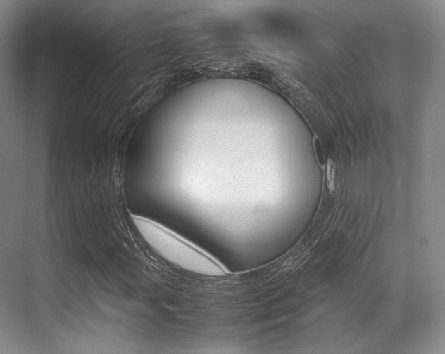 X0000070251107200606020951