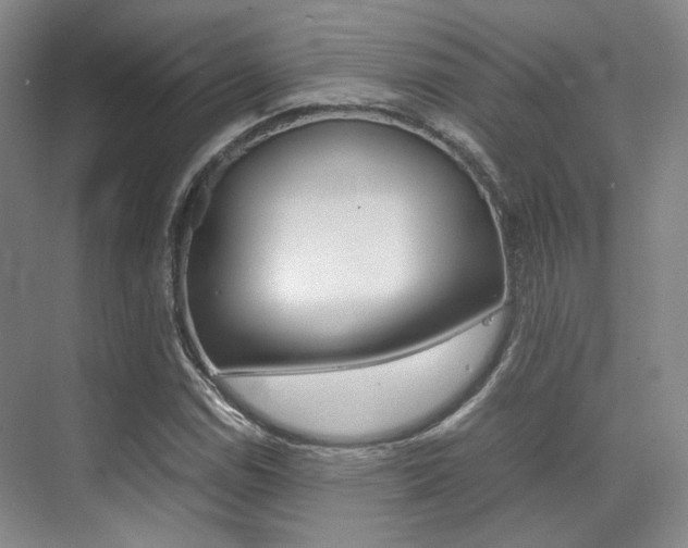 X0000070251114200606020951