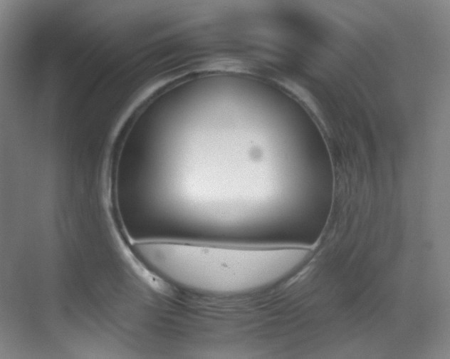X0000070251131200606020952