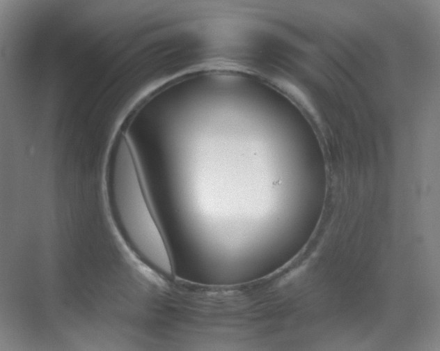 X0000070251133200606020952