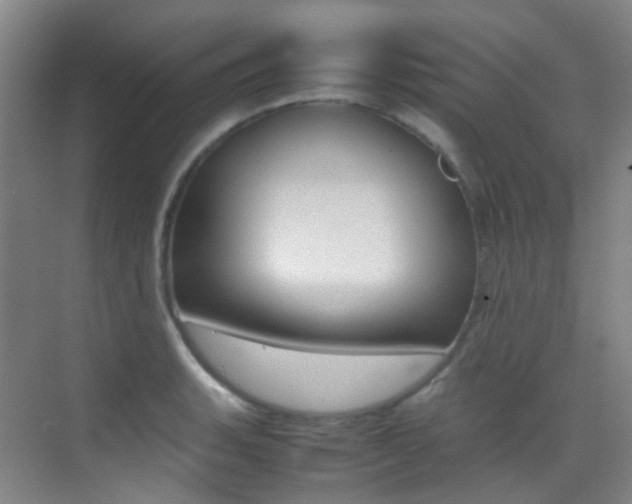 X0000070251135200606020952