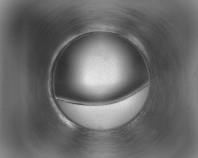 X0000070251136200606020952