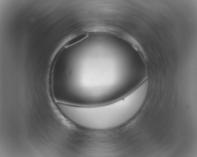 X0000070251138200606020952