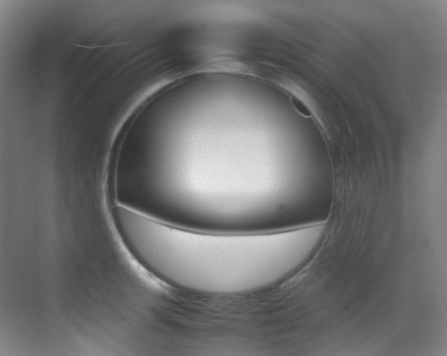X0000070251139200606020952