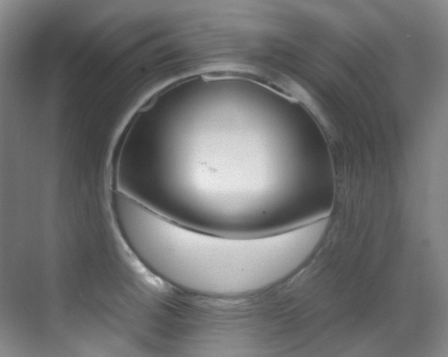 X0000070251140200606020952