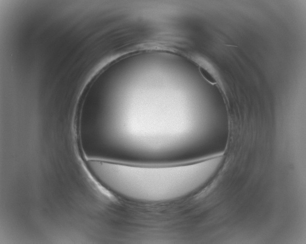 X0000070251141200606020952