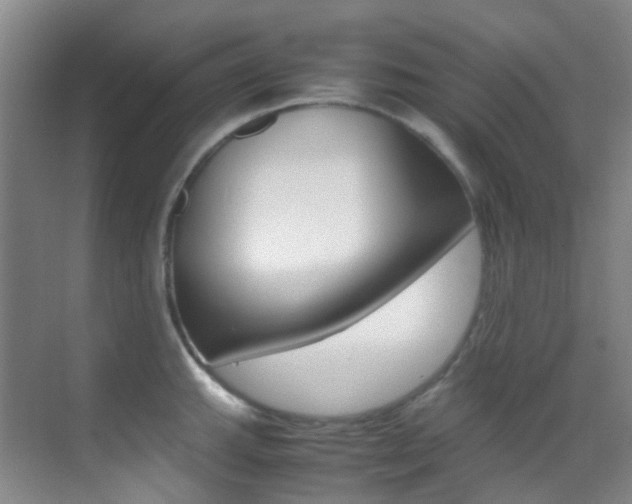 X0000070251143200606020952