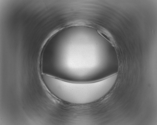 X0000070251146200606020952
