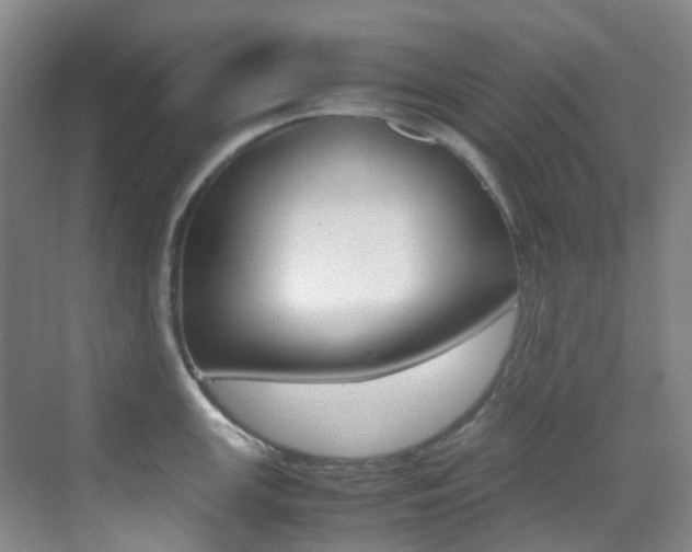 X0000070251147200606020952