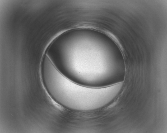X0000070251149200606020952