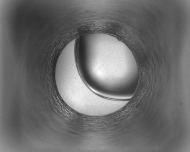 X0000070251153200606020951