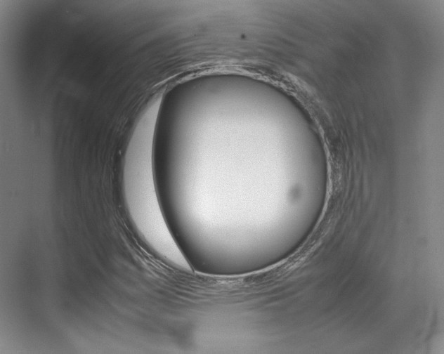 X0000070251161200606020951