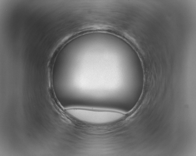 X0000070251171200606020951