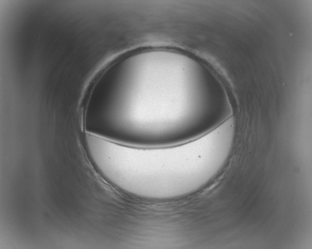 X0000070251175200606020951