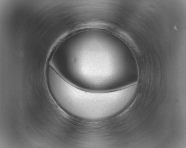 X0000070251180200606020951