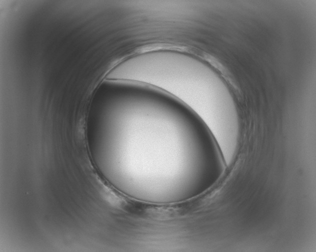 X0000070251185200606020951