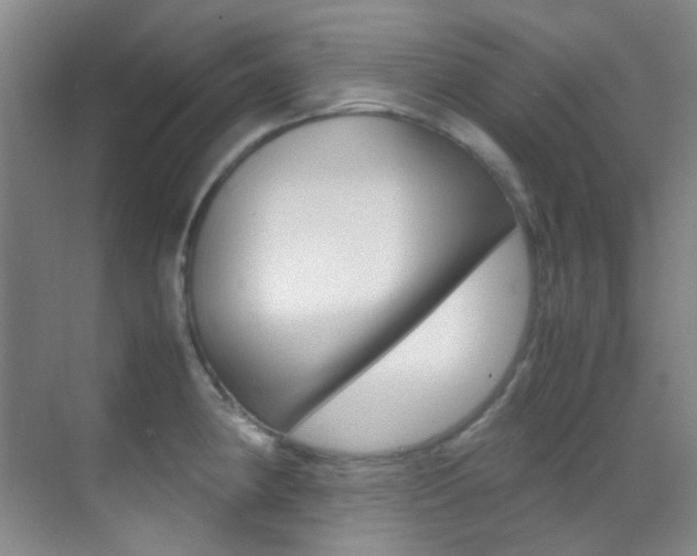 X0000070251190200606020950