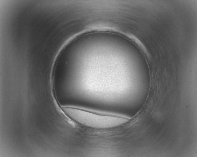 X0000070251191200606020950