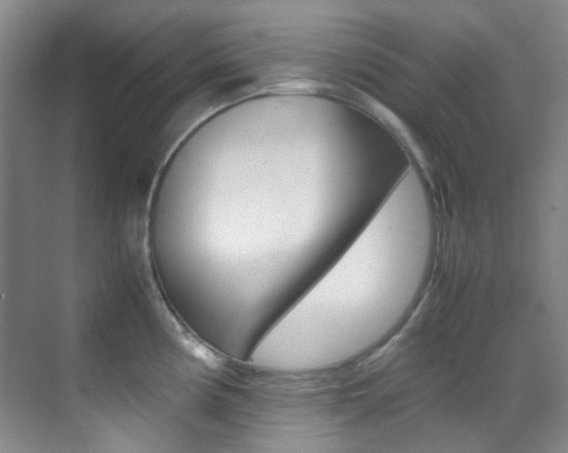X0000070251194200606020950