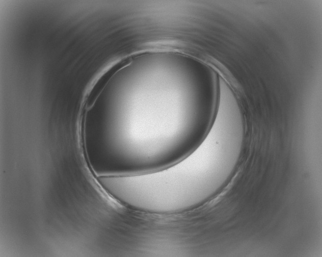 X0000070251196200606020950