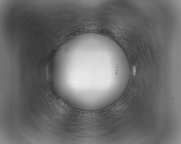 X0000070251203200606020950