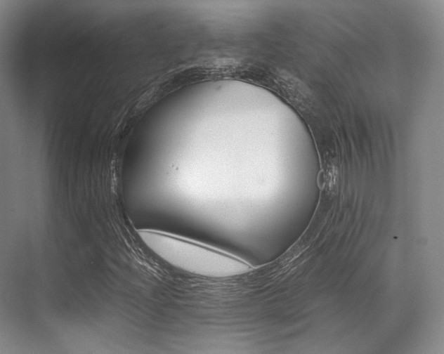 X0000070251204200606020950