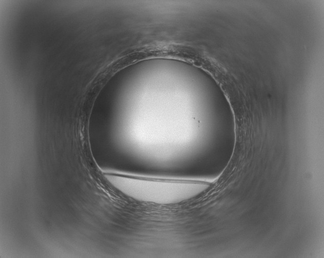 X0000070251206200606020950