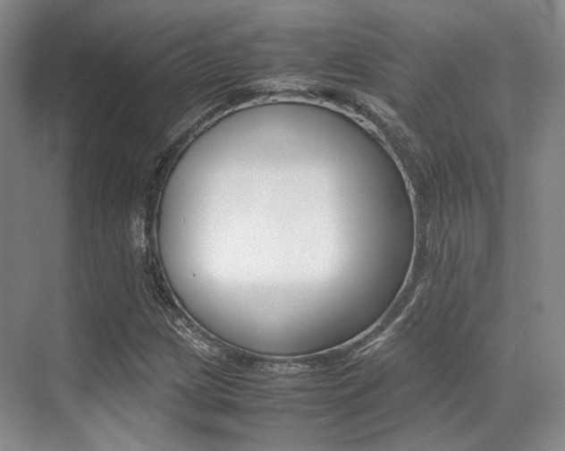 X0000070251209200606020950