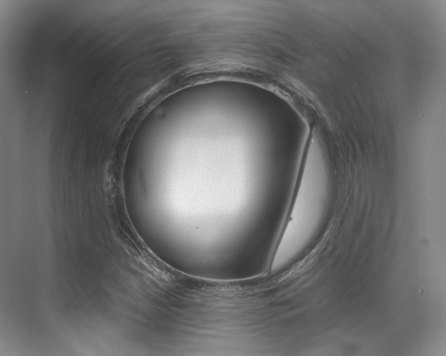 X0000070251210200606020950