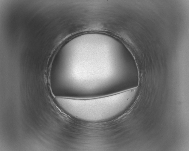 X0000070251212200606020950