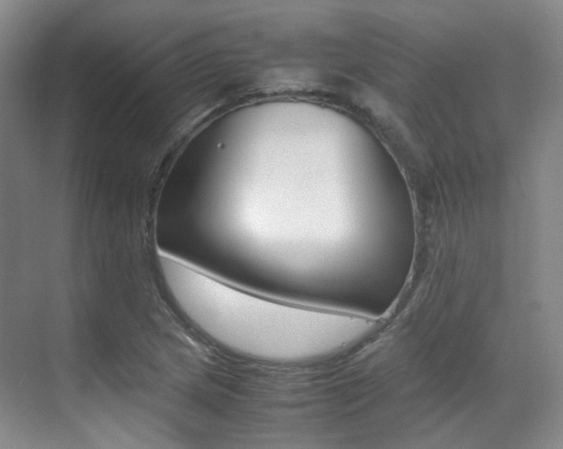 X0000070251217200606020950