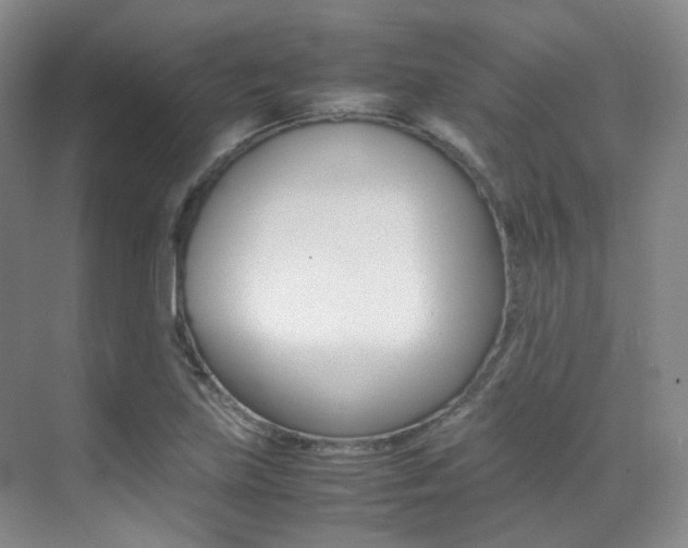X0000070251219200606020950