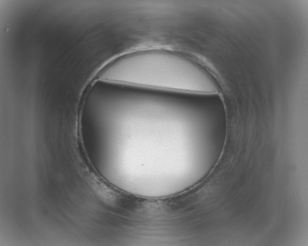 X0000070251220200606020950