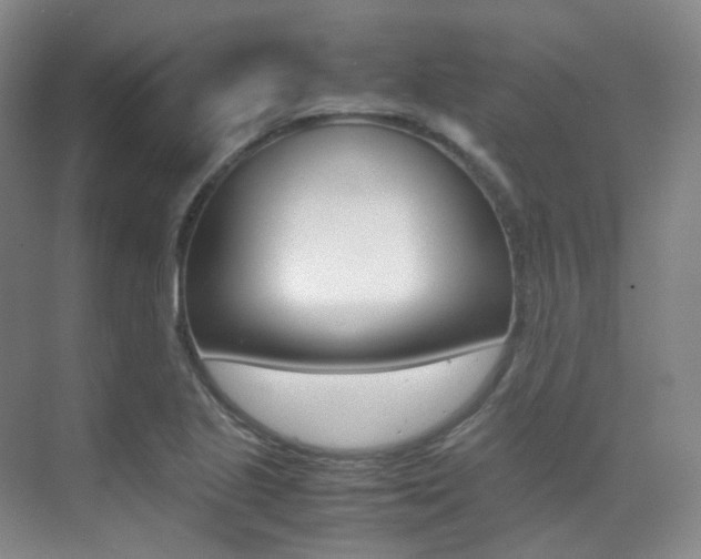 X0000070251221200606020950