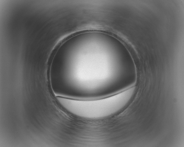 X0000070251222200606020950