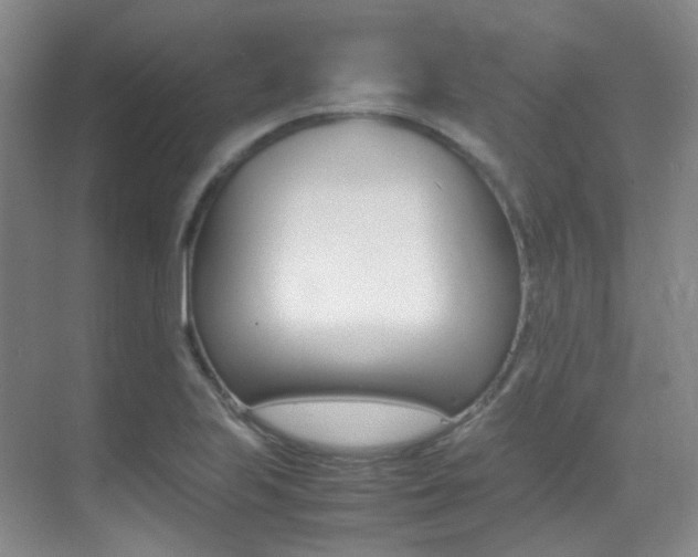 X0000070251223200606020950