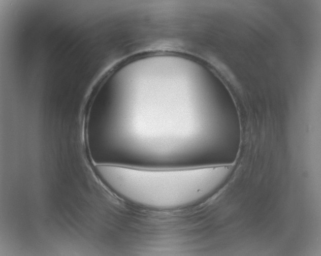 X0000070251224200606020950