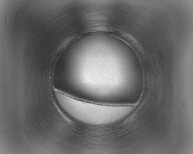 X0000070251225200606020950