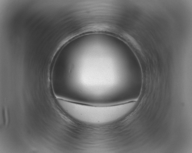 X0000070251226200606020950