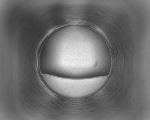 X0000070251227200606020950
