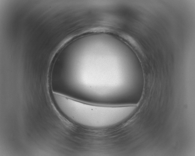 X0000070251229200606020950
