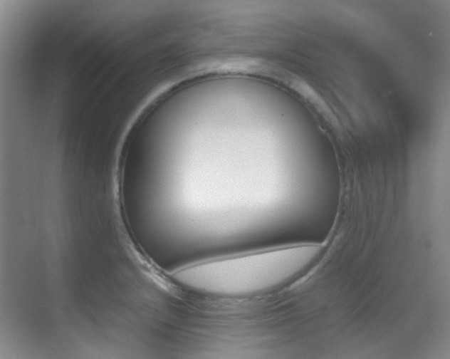 X0000070251232200606020950