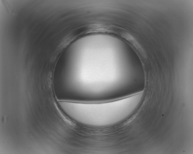 X0000070251233200606020950