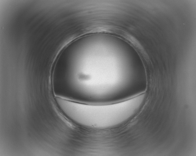 X0000070251234200606020950