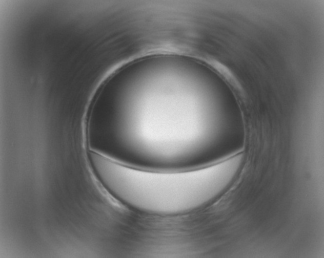 X0000070251238200606020950