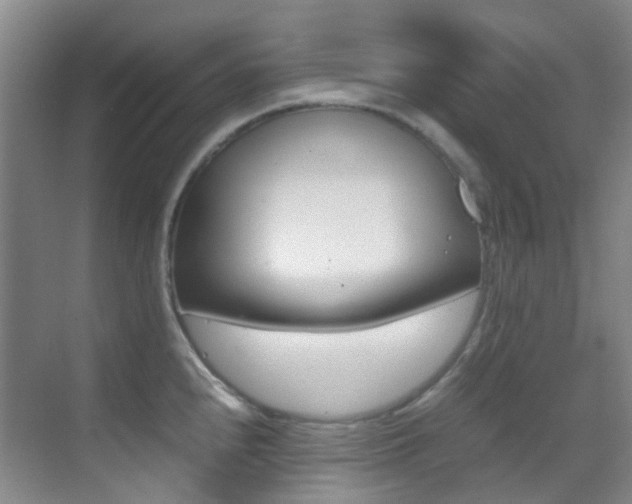 X0000070251240200606020950