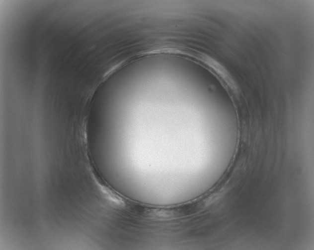 X0000070251241200606020950