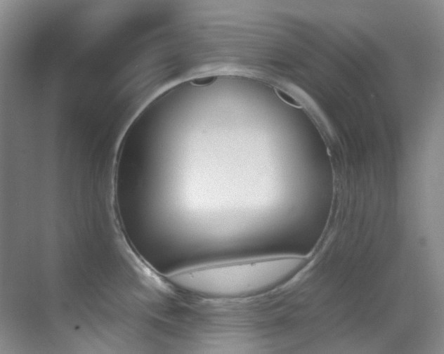 X0000070251244200606020950